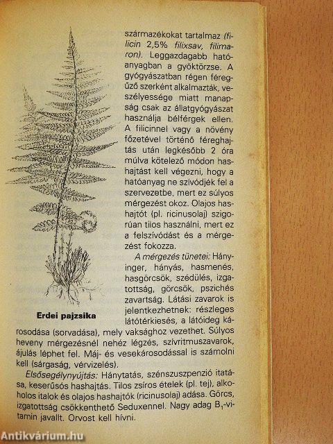 Mérgező növények