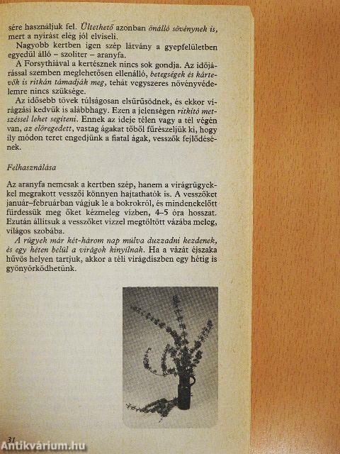 Minden héten szüret
