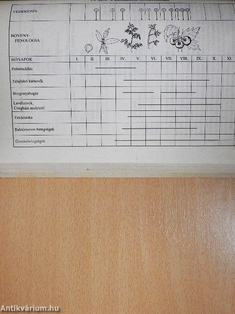 Milyen szert használjunk?