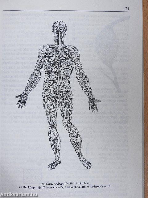 Cardialis decompensatio