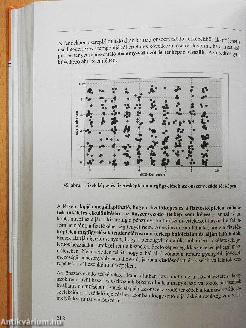 Pénzügyi elemzés, csődelőrejelzés, válságkezelés