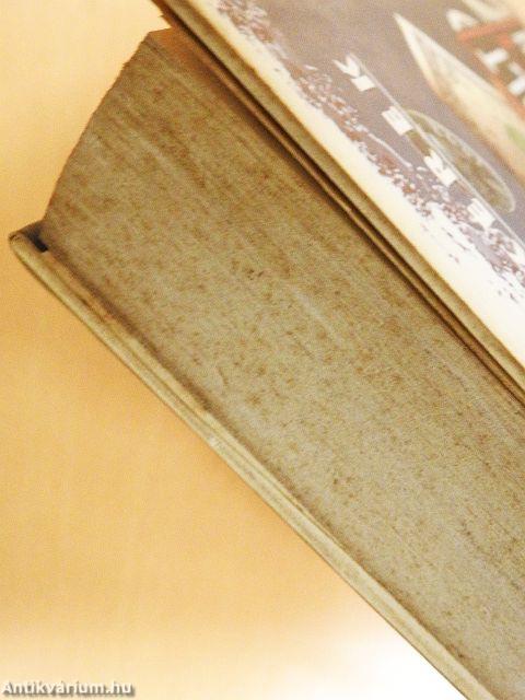 Elvarázsolt dollárok