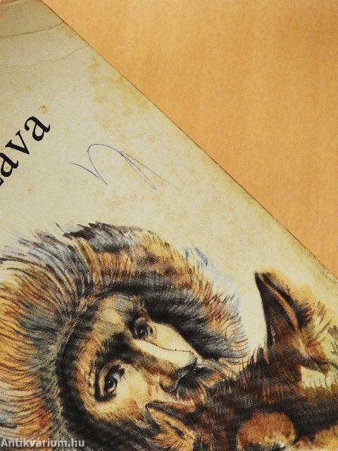 A vadon szava/A mexikói