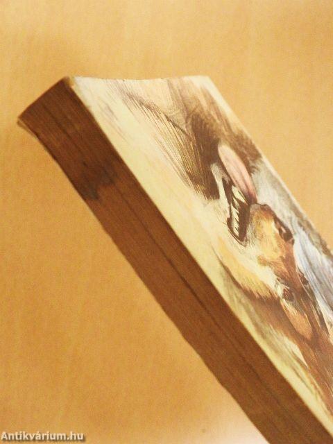 A vadon szava/A mexikói