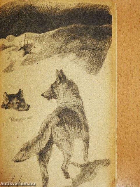 A vadon szava/A mexikói