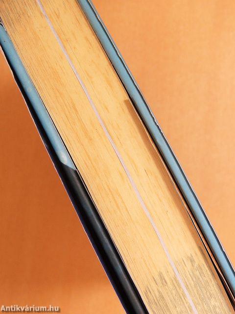 A korallok hercegnője