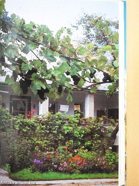 Házikerti kézikönyv