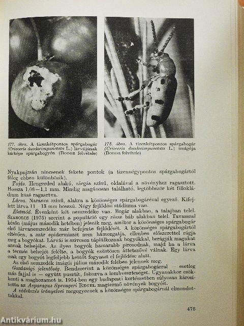 Kertészeti kártevők