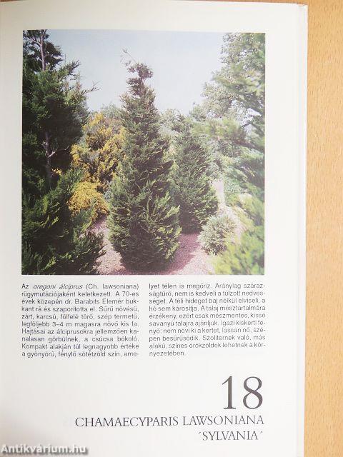 Fenyők és örökzöldek