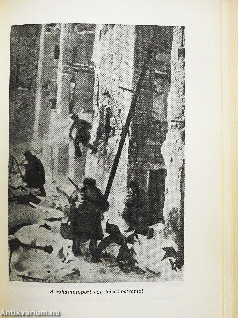 Erőd a Volga partján