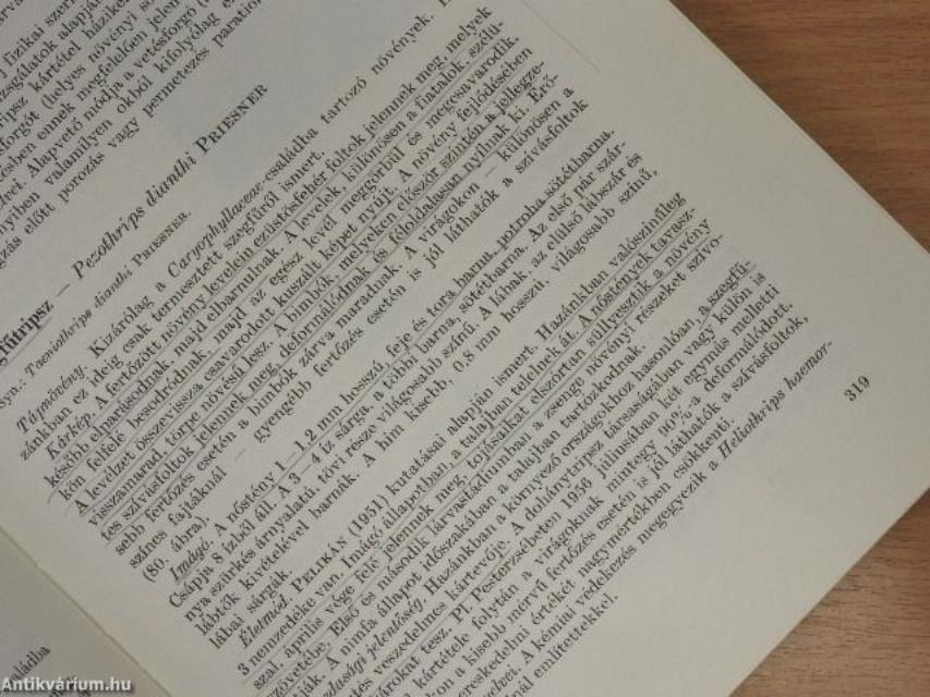 Kertészeti kártevők