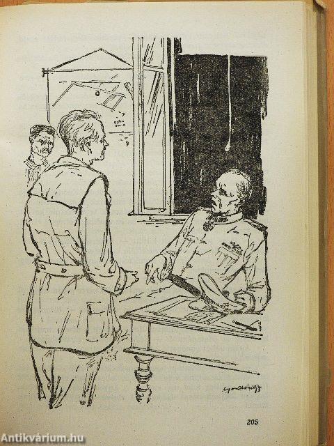 Fény a hegyek között