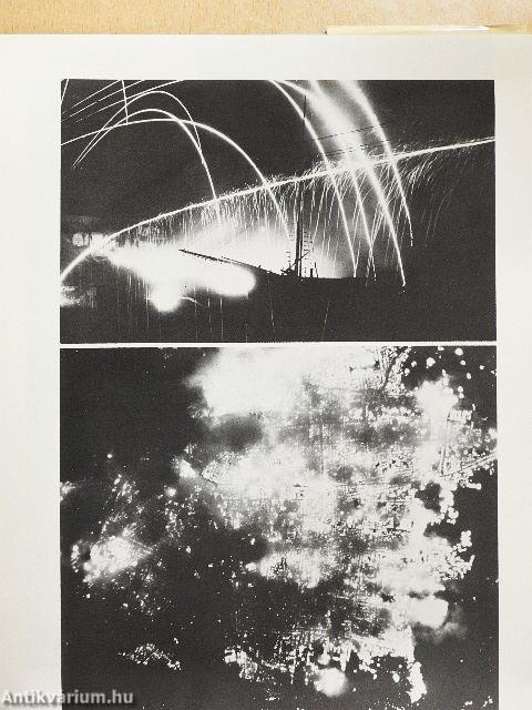 Arts of the Environment