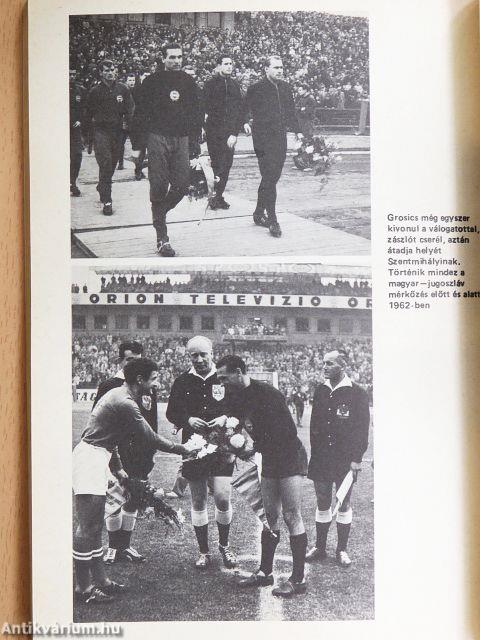 A Grosics-villa titka