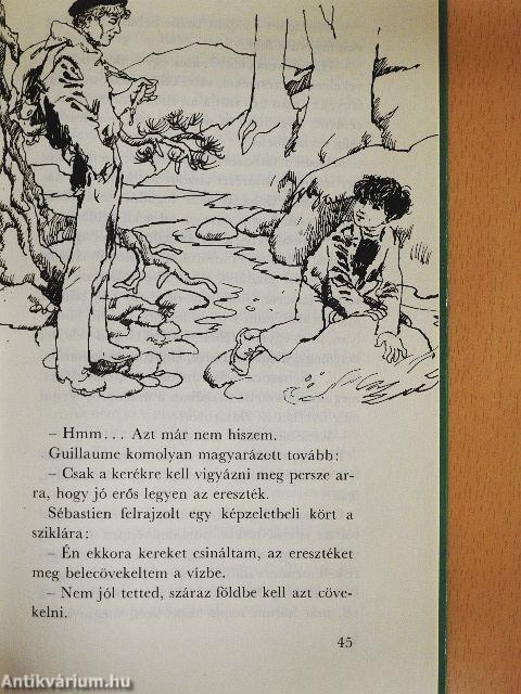 Belle és Sébastien