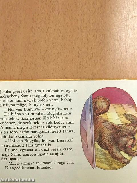 A pákosztos cica