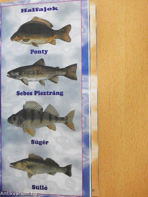 Horgásznaptár 2010