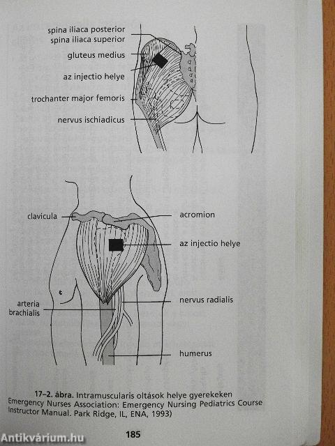Sürgősségi kórképek
