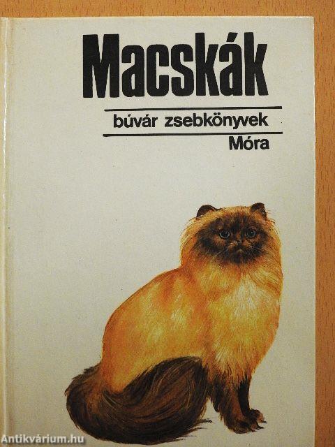 Macskák