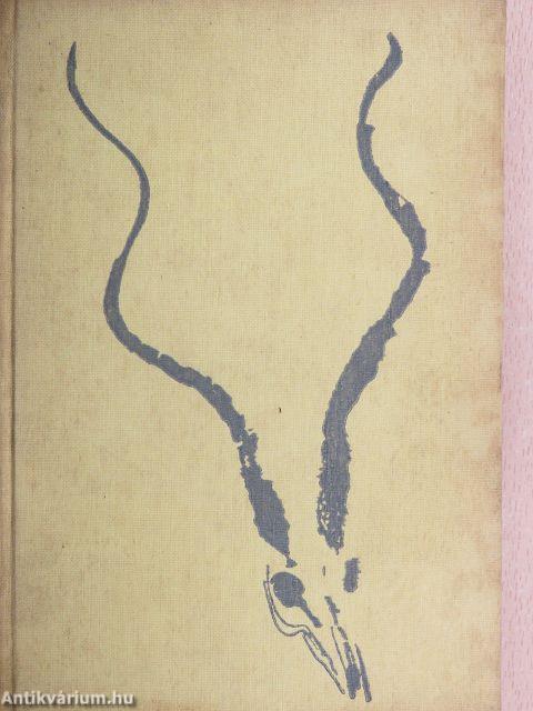 Afrikai vadásznapló