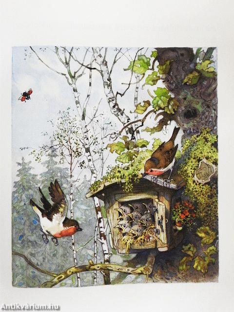 Fahr mit ins Wichtelreich