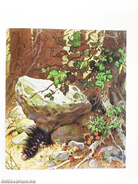 Fahr mit ins Wichtelreich