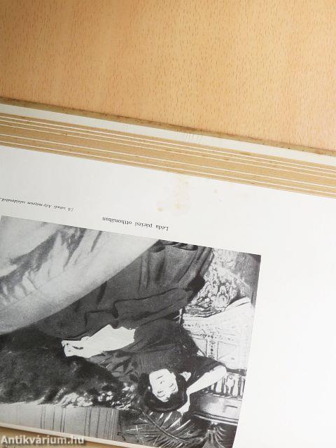 Akkor a hársak épp szerettek...