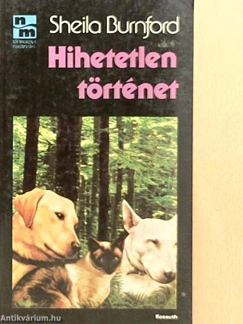 Hihetetlen történet