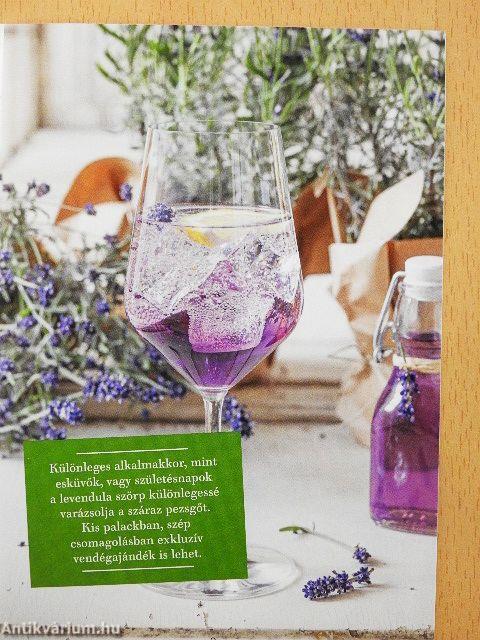 Frissítő szörpök