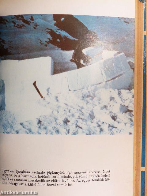 Most már eszkimó vagy!