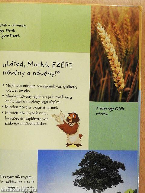 Első könyvem: a növények