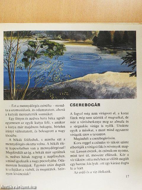 Az erdő emeletei