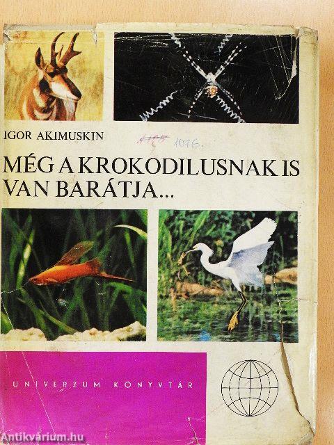 Még a krokodilusnak is van barátja...