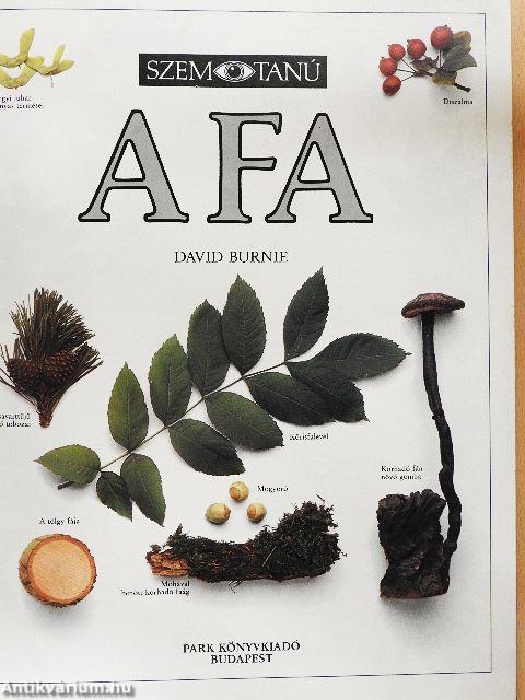 A fa