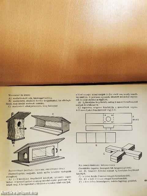 Csináld te is, pajtás