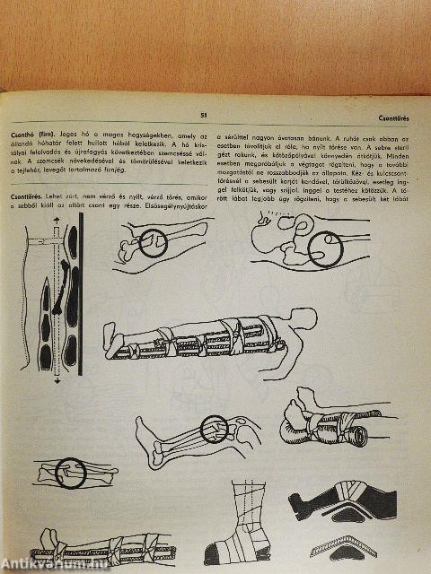 Természetjárók enciklopédiája