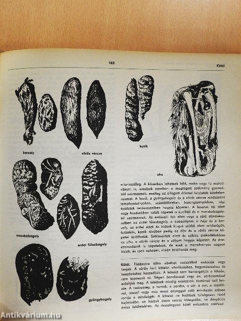 Természetjárók enciklopédiája