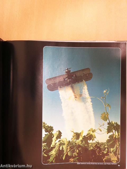 Photography Year 1973