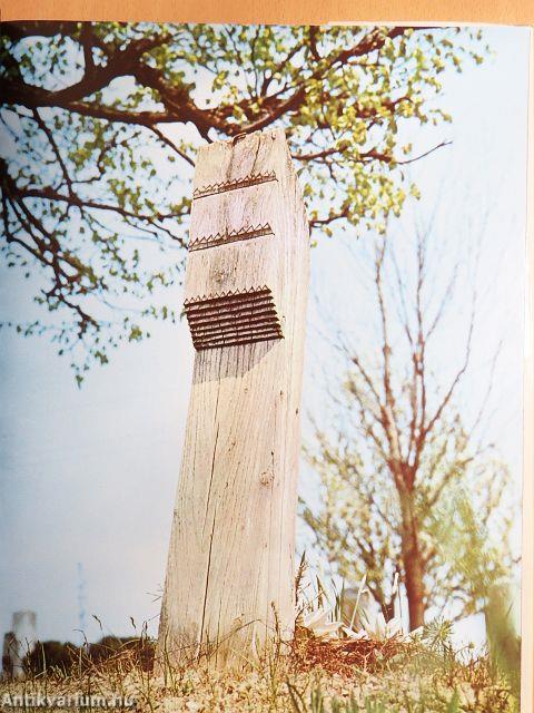 ...len kamen a drevo