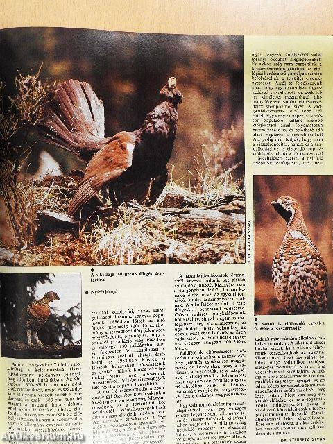 Nimród 1988. január-december