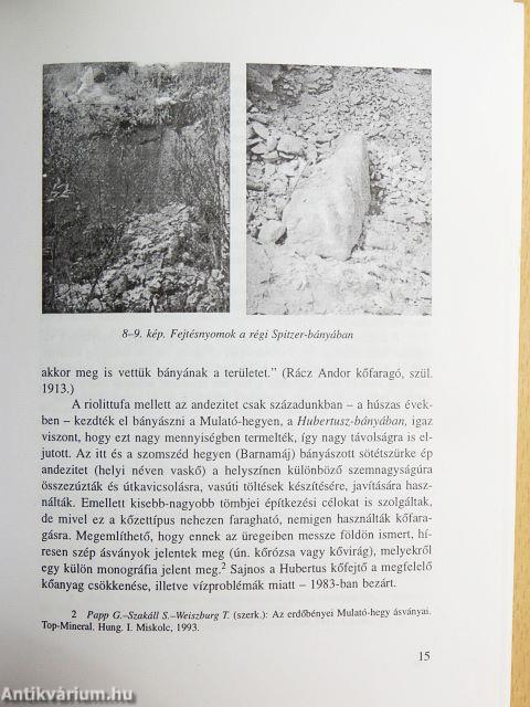 Kőmunkák Erdőbényén