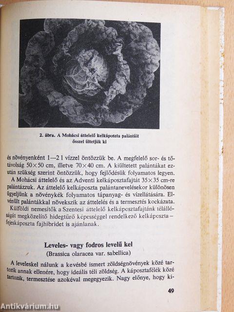 Téli zöldségek