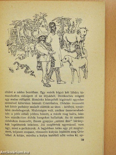 A kétéltű ember
