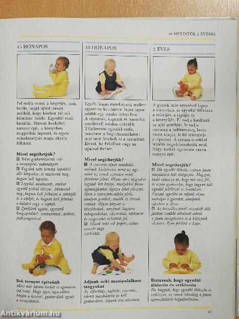 Mit tud a gyerek?