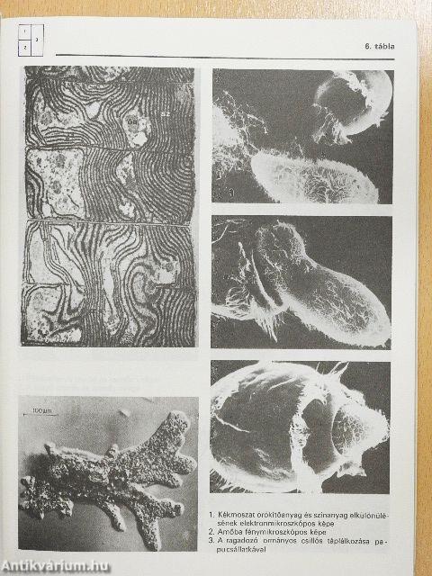 Biológiai album