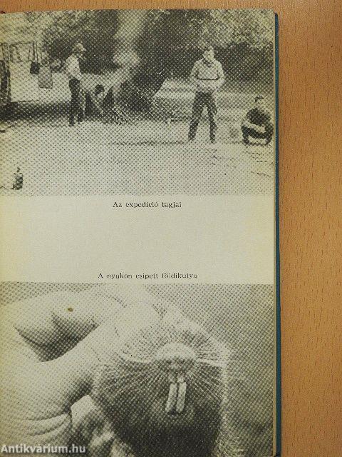 Véget nem érő nappalok