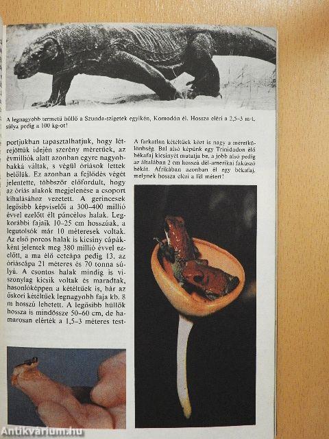 Búvár évkönyv 3.
