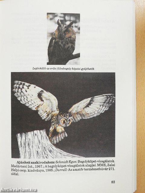 Erdei iskola Tornyospálcán