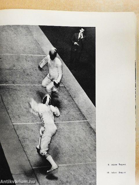 Das polnische Lichtbild