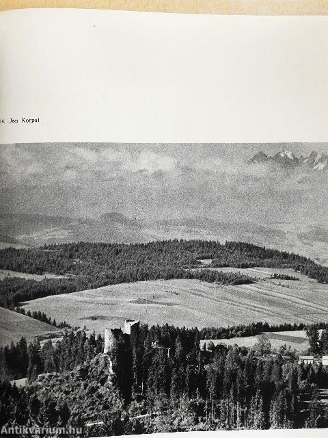 Das polnische Lichtbild